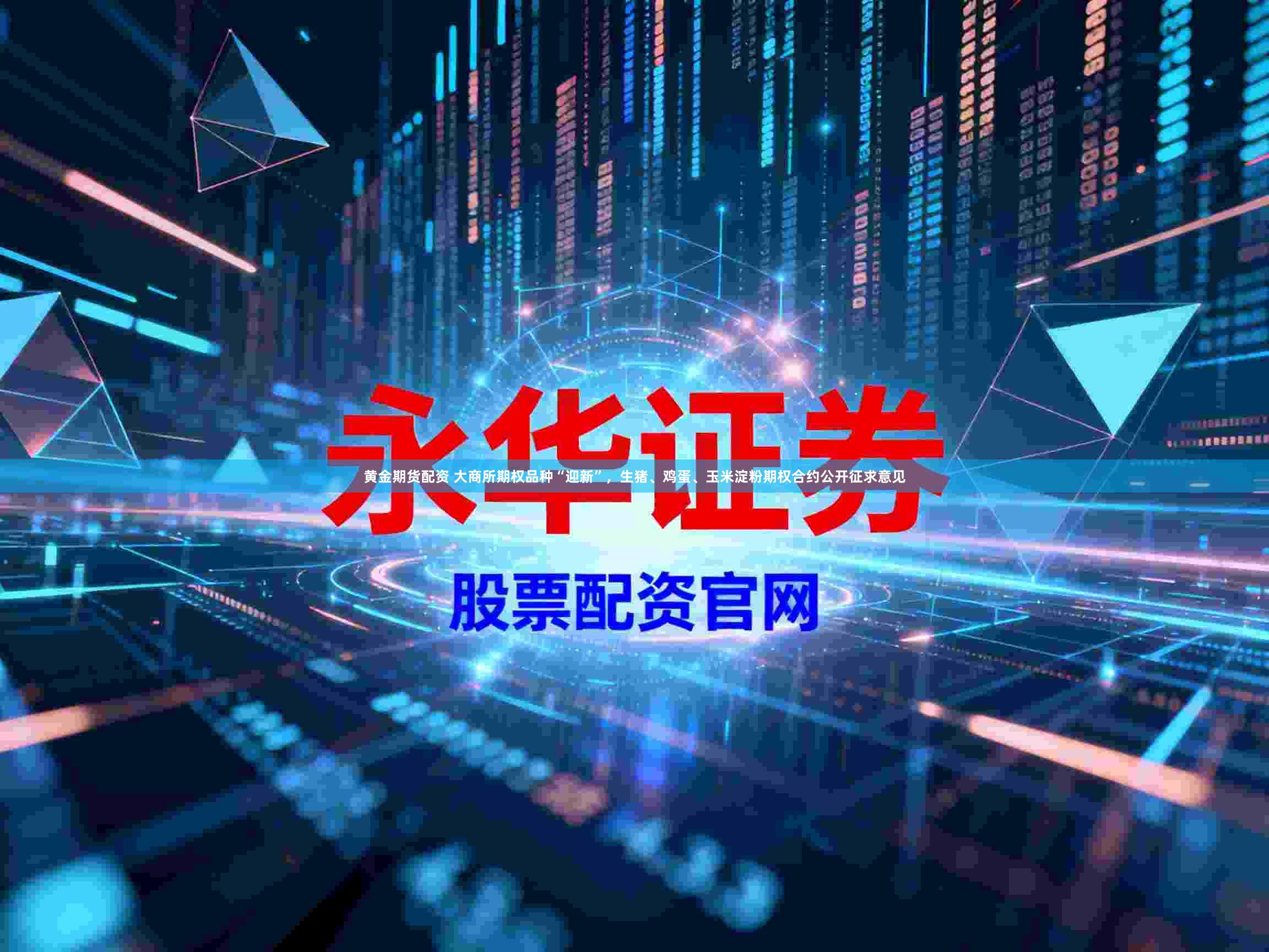黄金期货配资 大商所期权品种“迎新”，生猪、鸡蛋、玉米淀粉期权合约公开征求意见