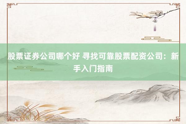 股票证券公司哪个好 寻找可靠股票配资公司：新手入门指南